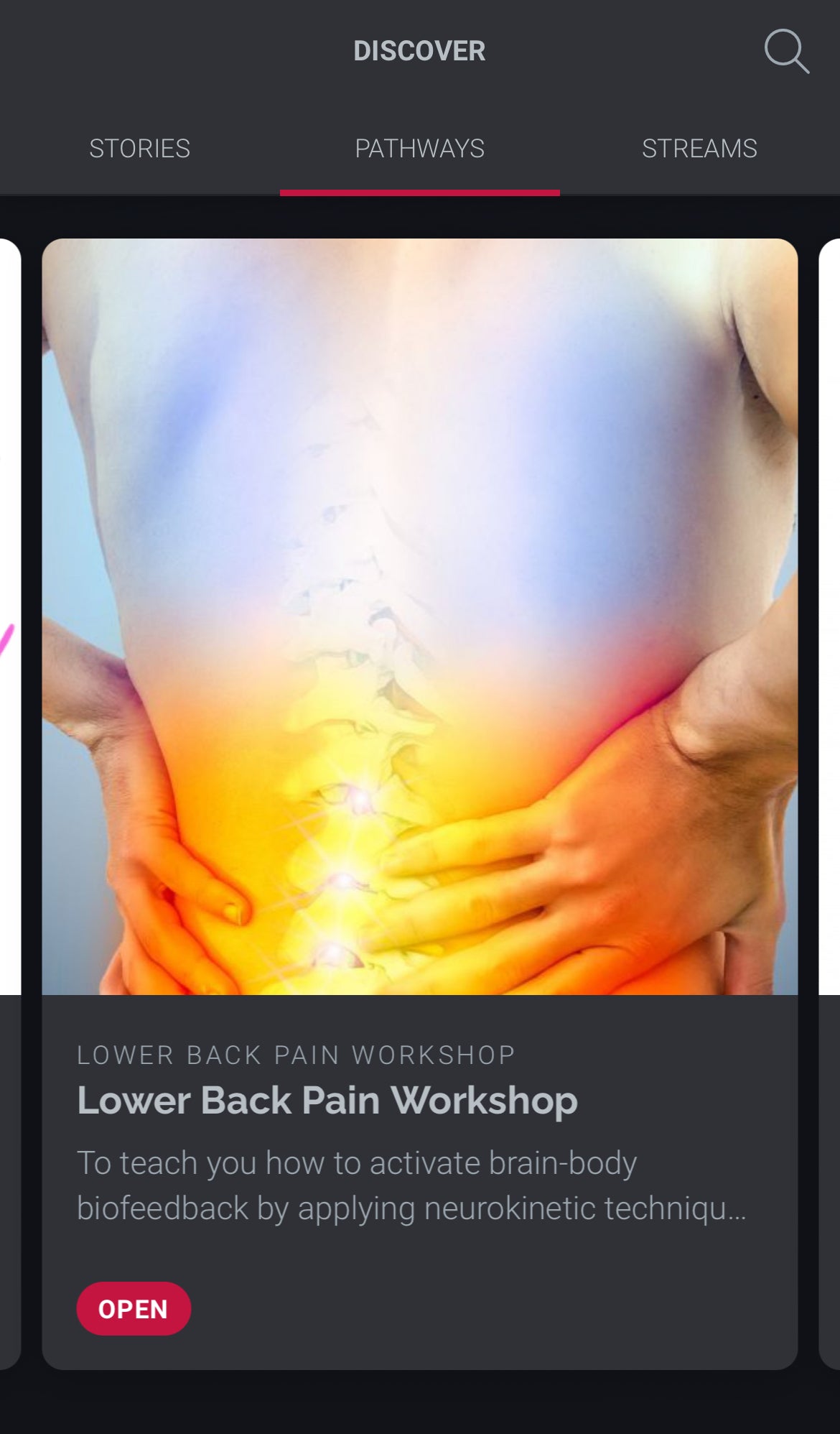 Lower Back Pain Solution Workshop (Self Study)
