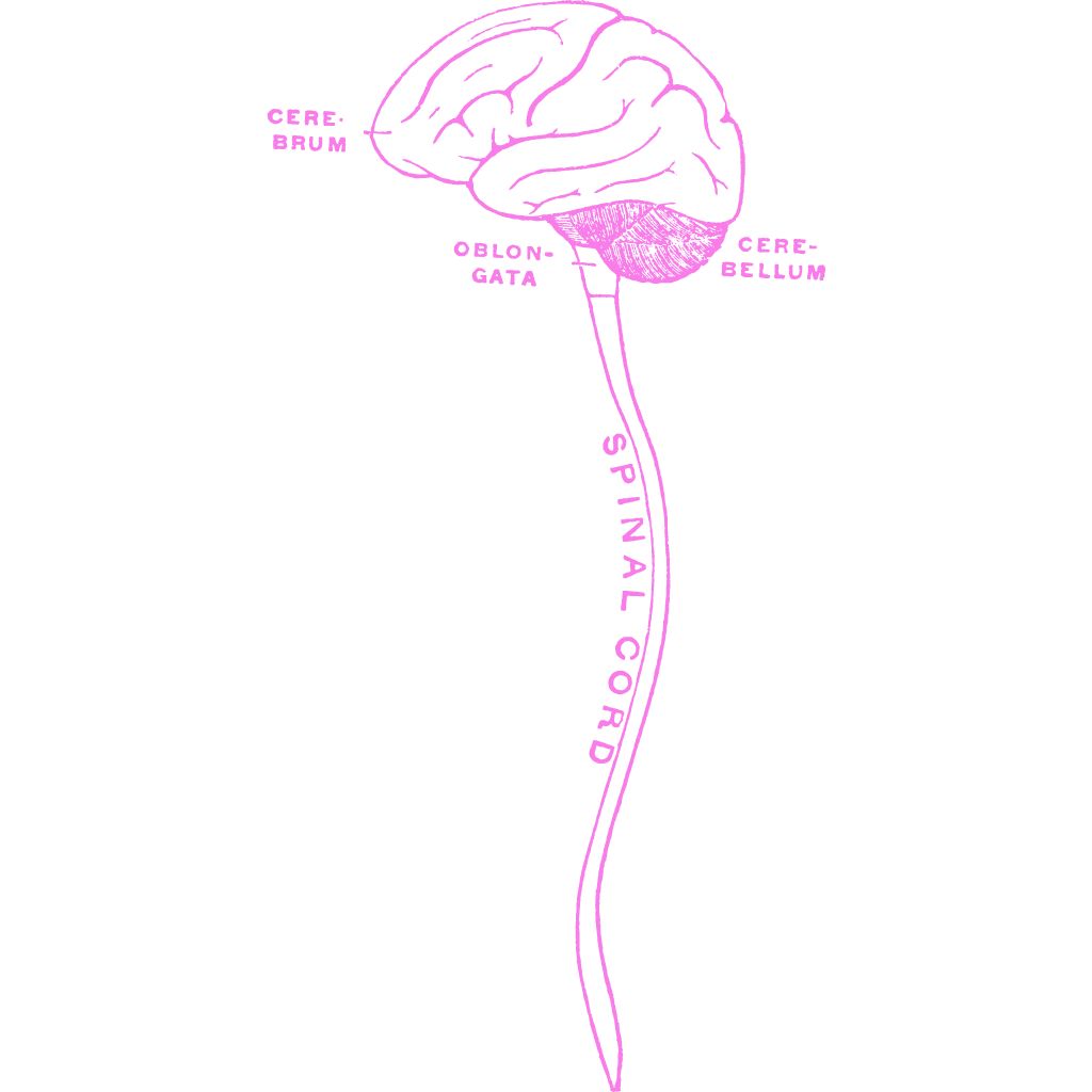4 Sessions Experience: Energy Awakening for Inner Healing - Learn the Microcosmic Orbit ( Self Learning)