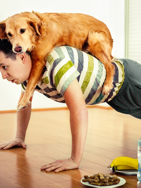 Back Pain Management Phase Exercises