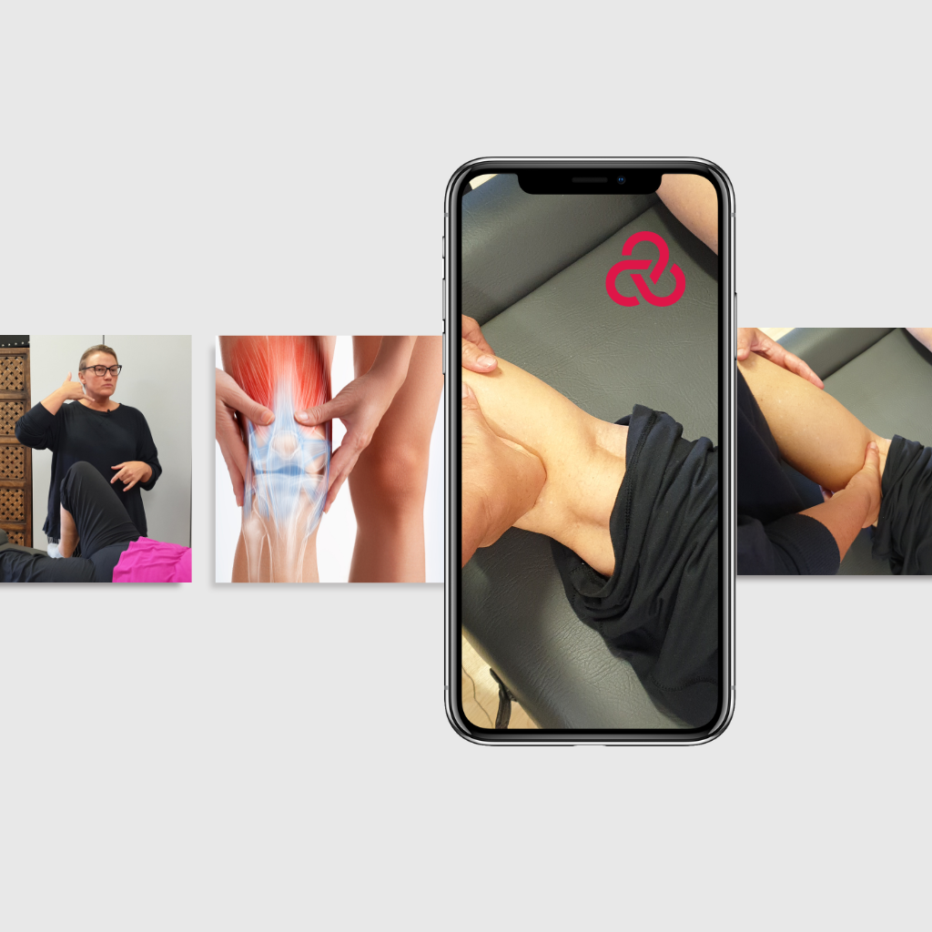 Replay of Live Knee Meniscus Workshop: Neuromuscular Understanding of Meniscus & Knee Injuries