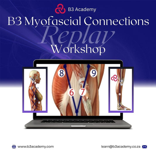 Replay Live: Myofascial Connections Workshop: Superficial, Front and Back Myofascia