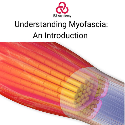 Understanding Myofascia:  An Introduction