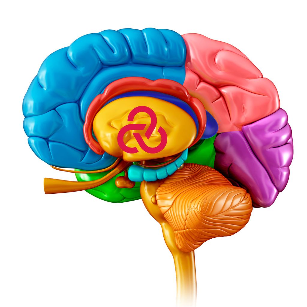 Replay Live: Myofascial Connections Workshop: Superficial, Front and Back Myofascia
