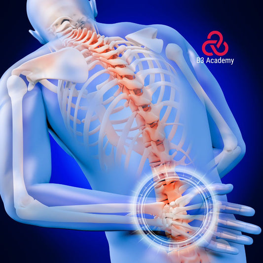 Free Resource: 8 Exercises to Relieve Lower Back Pain – Your Step-by-Step Workbook