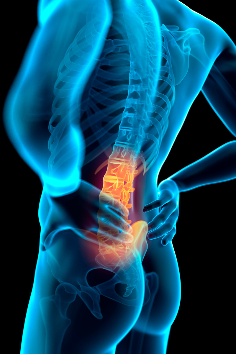 Replay of Live Lower Back Pain Solution Workshop: From Pain to Power, Your Path to Pain-Free Living!