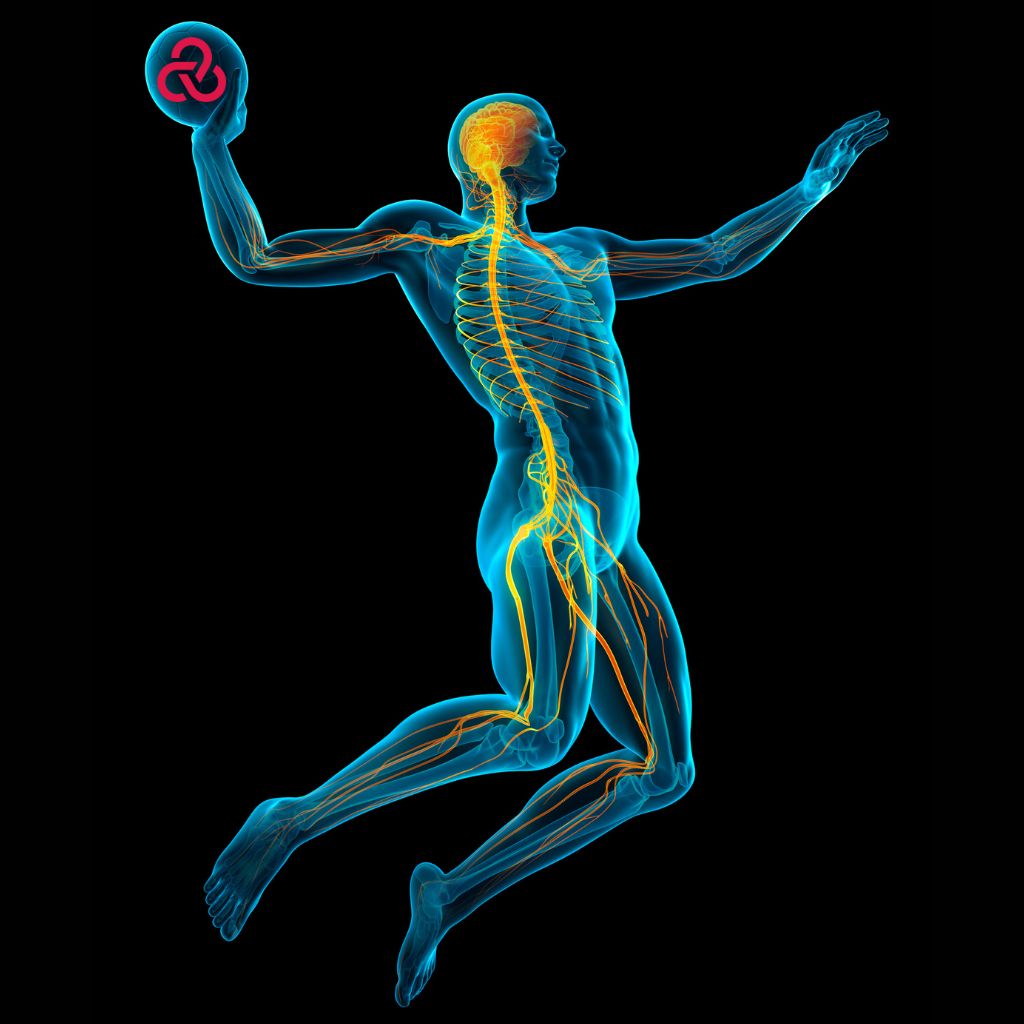 Replay Live: Myofascial Connections Workshop: Superficial, Front and Back Myofascia