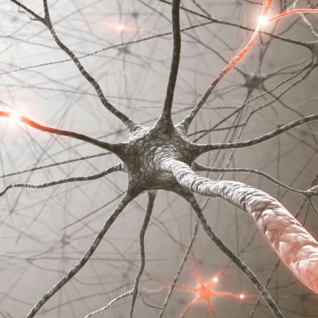 Free Resource - Why Your Nervous System Might Be Sabotaging Your Wellness (And What to Do About It)