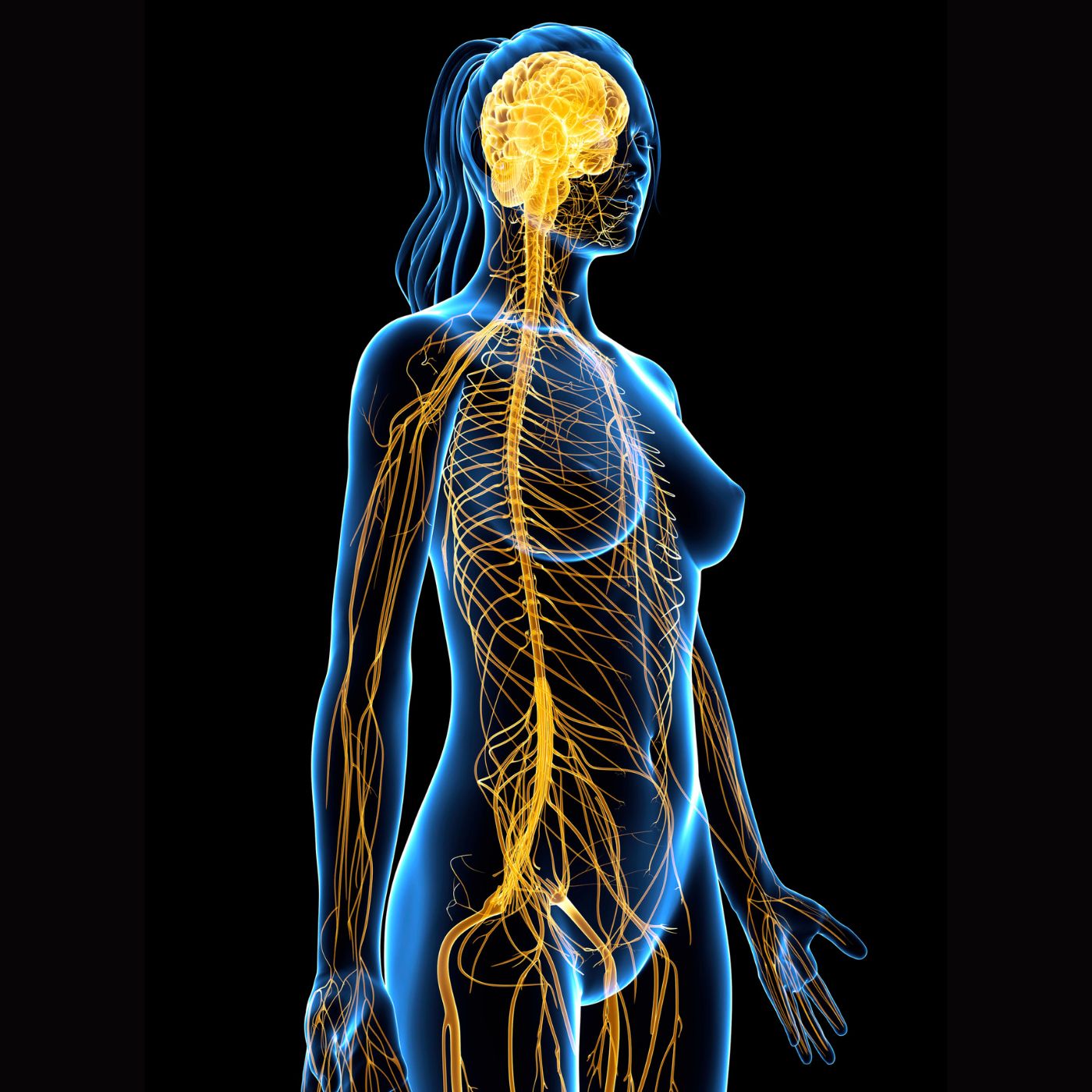 90 Days Nervous System Reset Program (Self Paced)