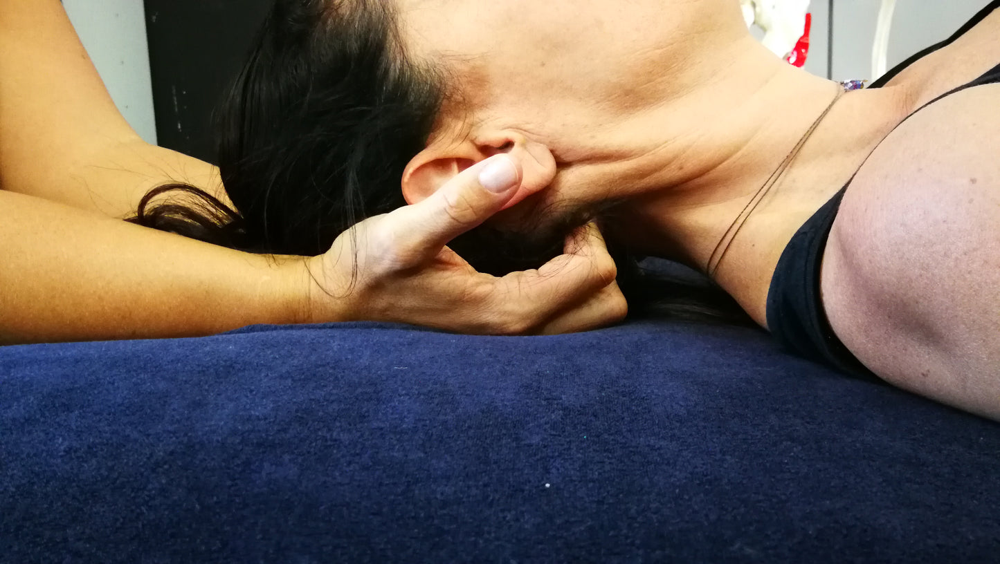 PE Live: B3 Signal Pulse for Myofascial Release and Pain Relief Course (2 full days)