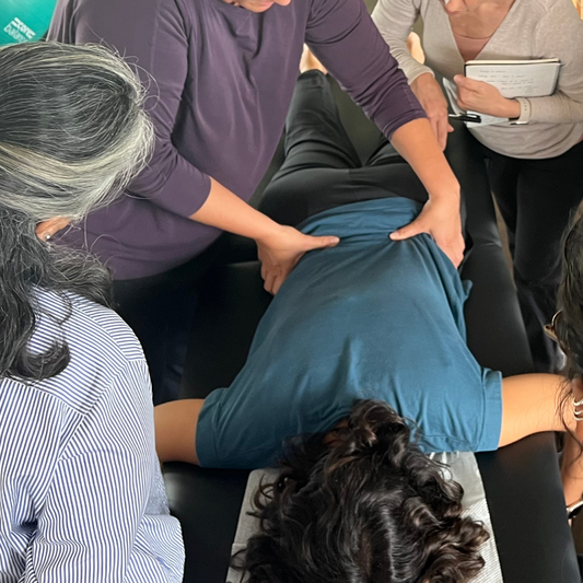 JHB Live: B3 Signal Pulse for Myofascial Reset & Pain Relief Course (2 full days) ACTIVATION COURSE