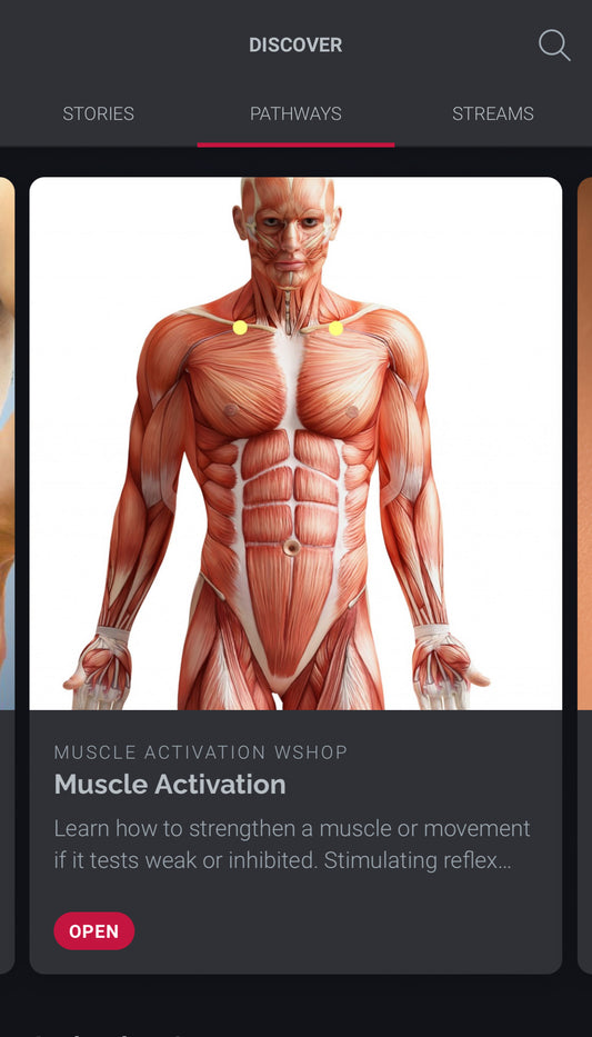 Muscle Activation Workshop (Self Study)