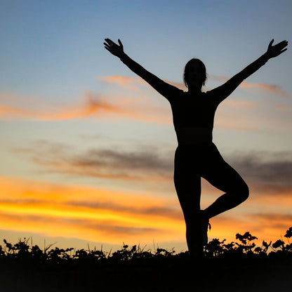 Live: Energise Your Day: Mastering the Art of Sustained Vitality