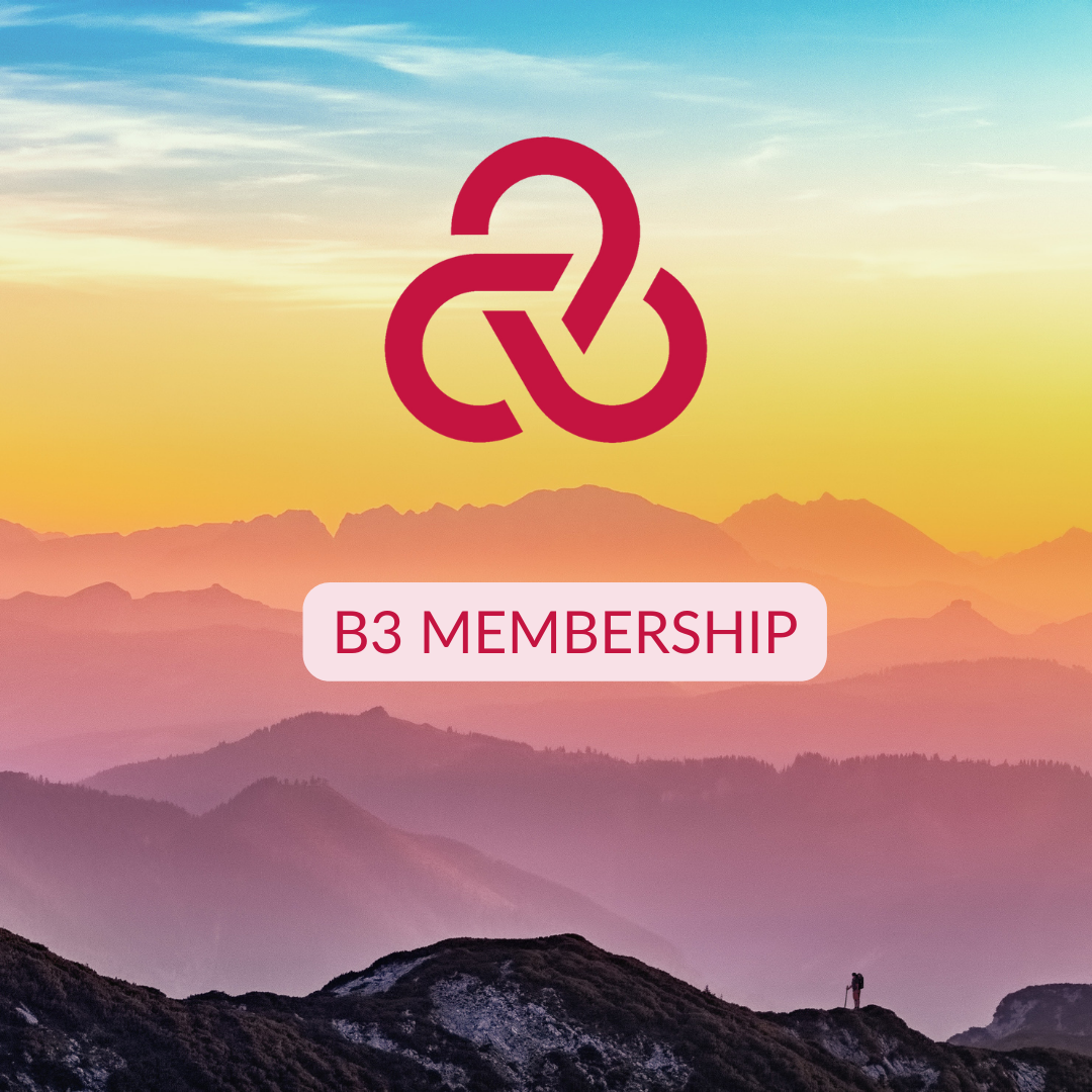 B3 Academy Annual Membership