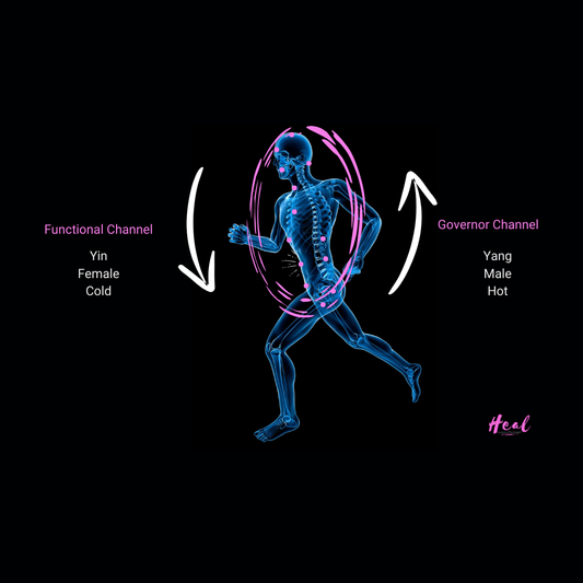 4 Sessions Experience: Energy Awakening for Inner Healing - Learn the Microcosmic Orbit ( Self Learning)