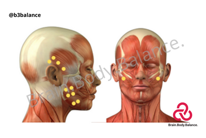 Muscle Activation Workshop (Self Study)