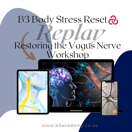 Reply of Live: B3 Body Stress Reset Workshop: Restoring the Vagus Nerve