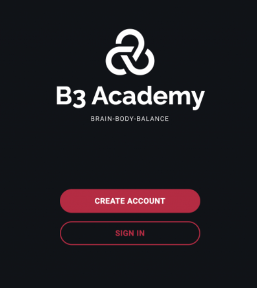 Brain.Body.Balance. – B3 Academy